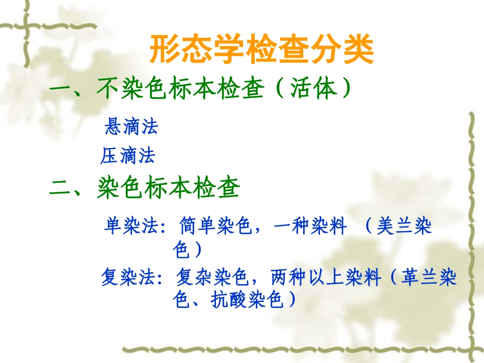 细菌形态学检查_第3页