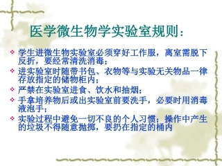细菌形态学检查