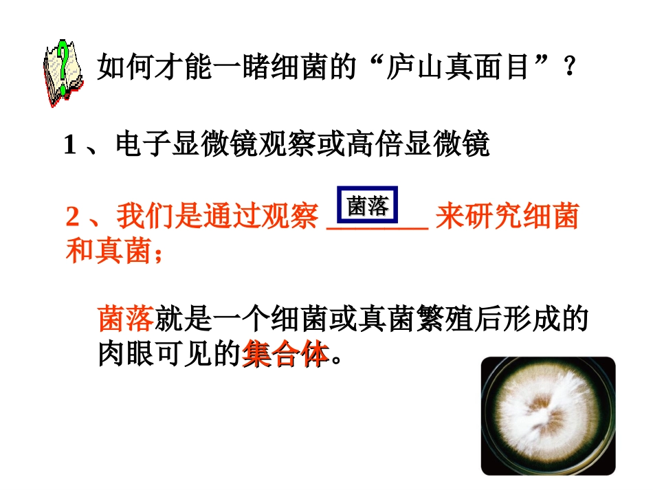 细菌和真菌的分布-(共25张ppt)_第3页