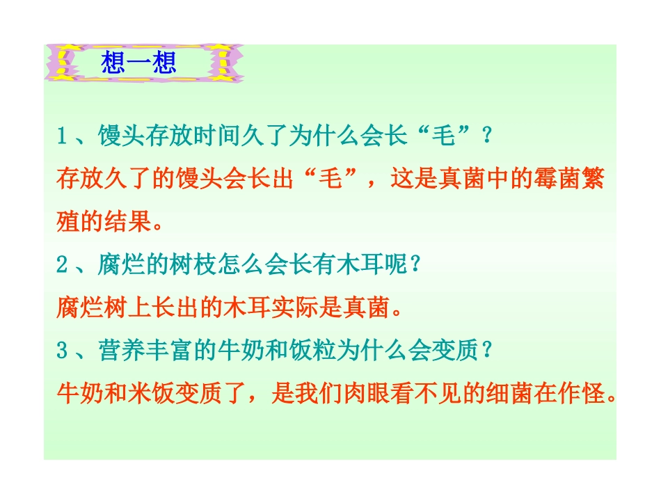 细菌和真菌的分布1_第2页