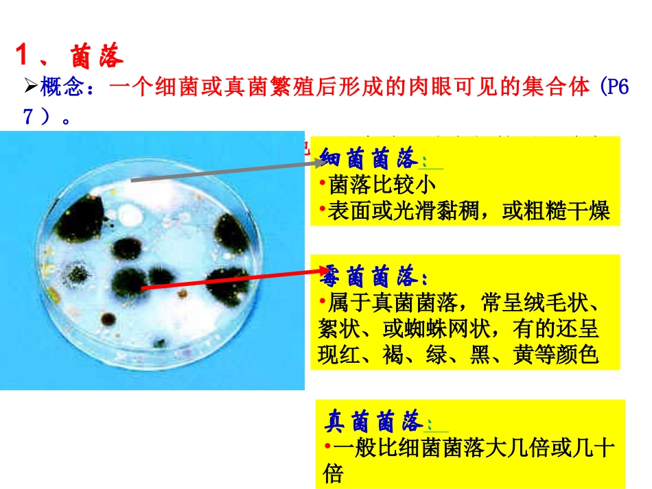细菌和真菌的分布1_第3页