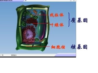 细胞质遗传和细胞核遗传