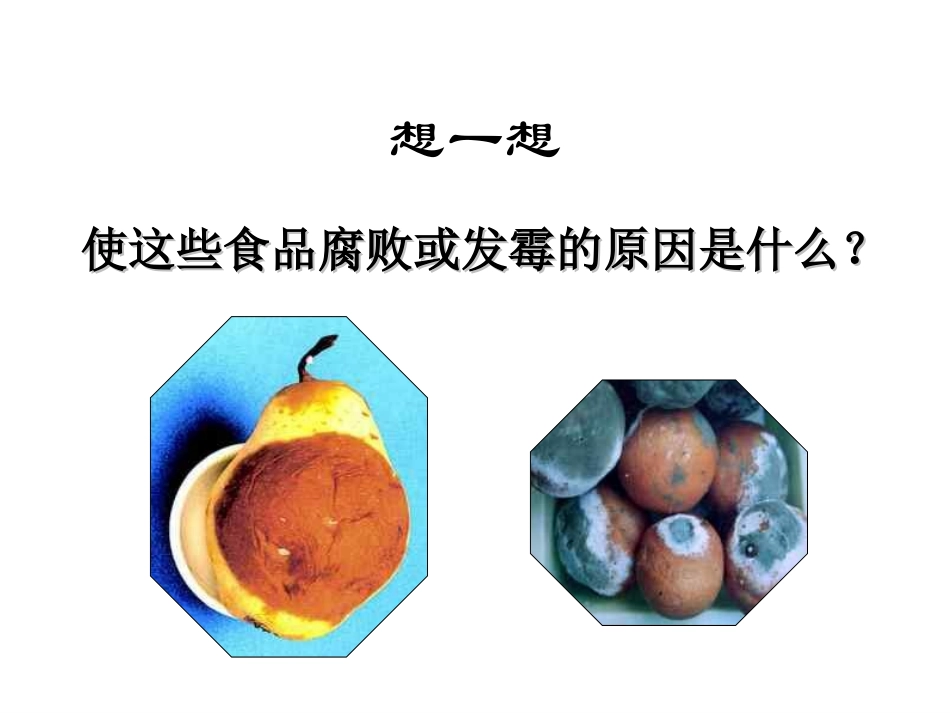 细菌和真菌在自然界中的作用(共21张ppt).._第2页