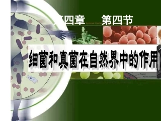 细菌和真菌在自然界中的作用(共21张ppt)..