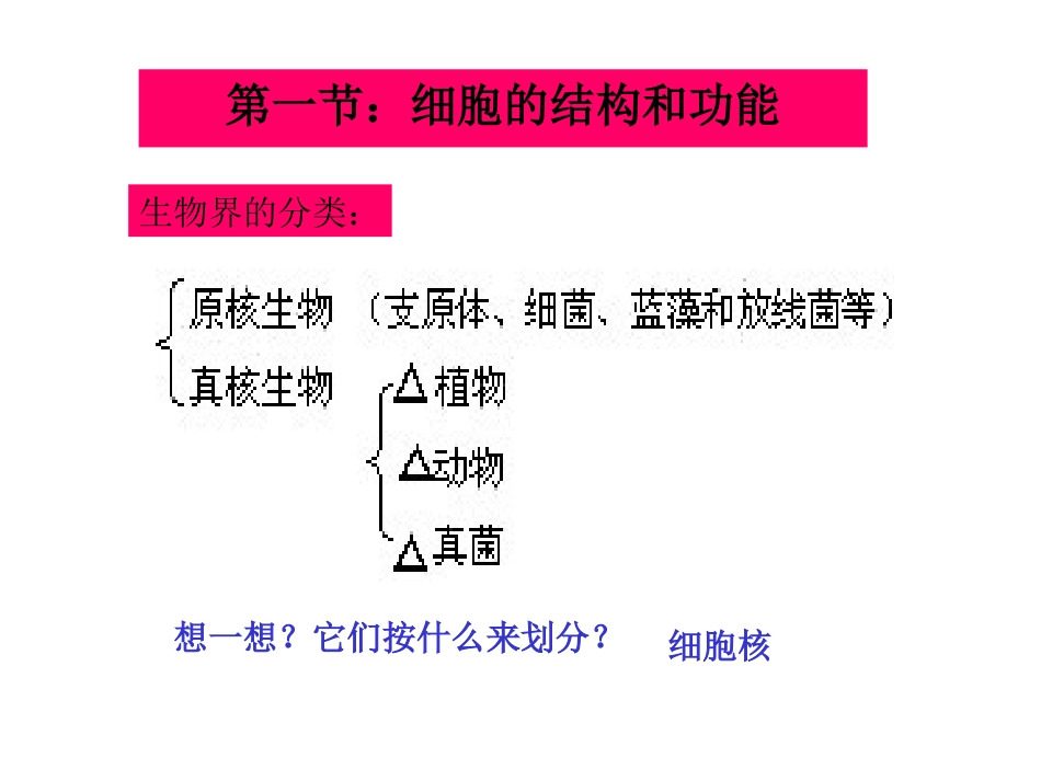 细胞膜细胞核_第3页