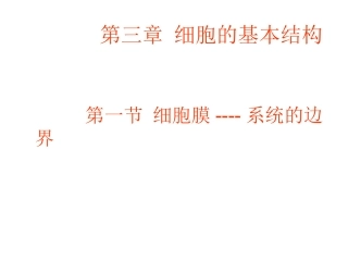 细胞膜系统的边界][1][1][1][1].PTT