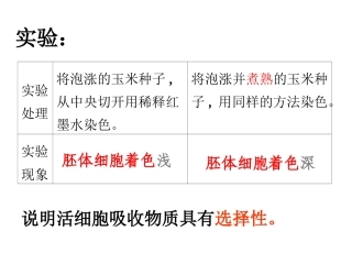细胞膜和细胞壁