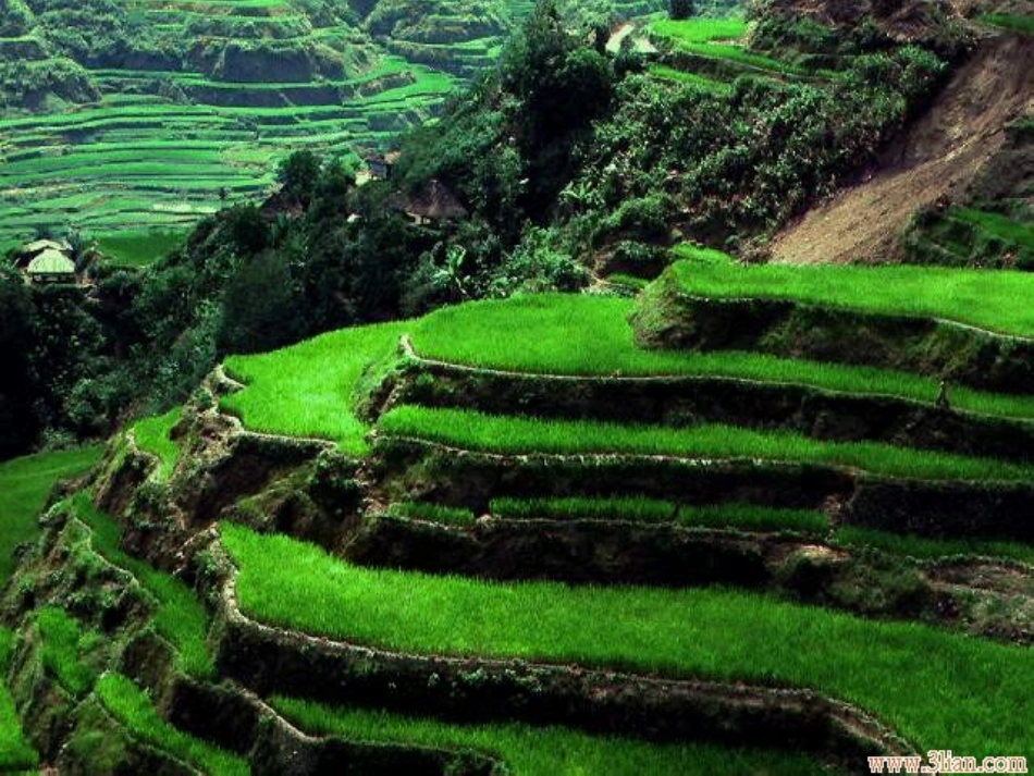 海陆的变迁-(2)_第1页