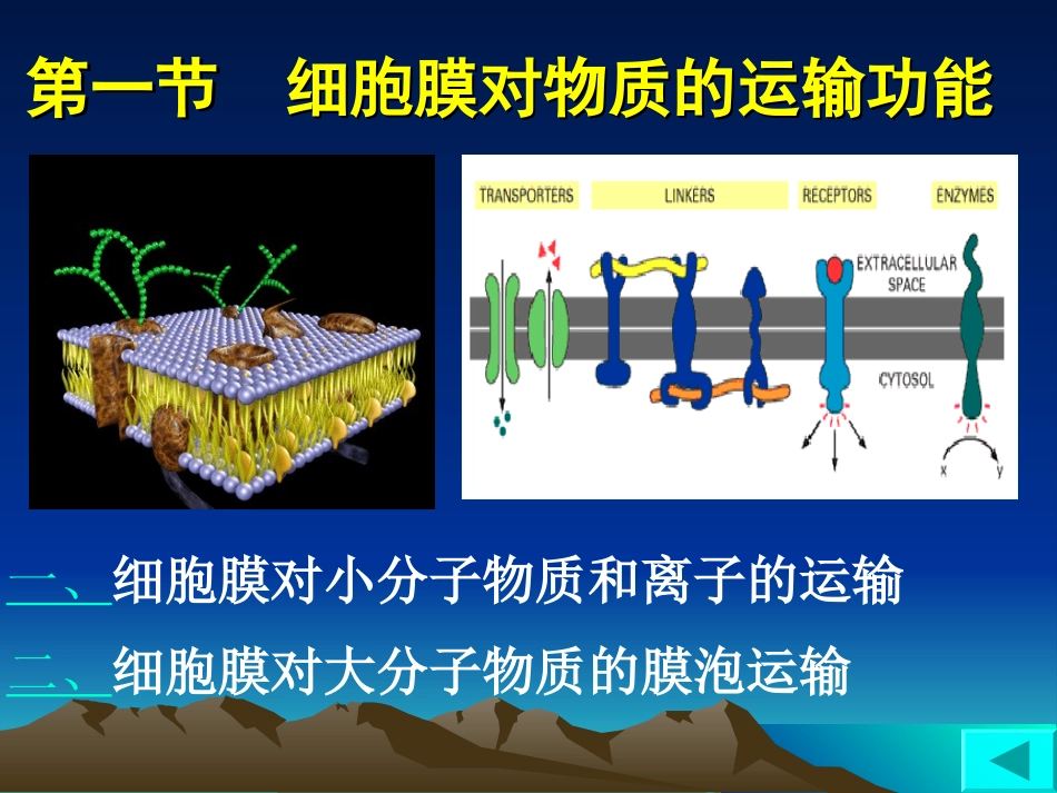 细胞膜的功能.._第2页