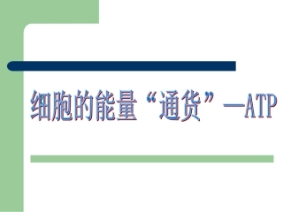 细胞的能量通货ATP-说课