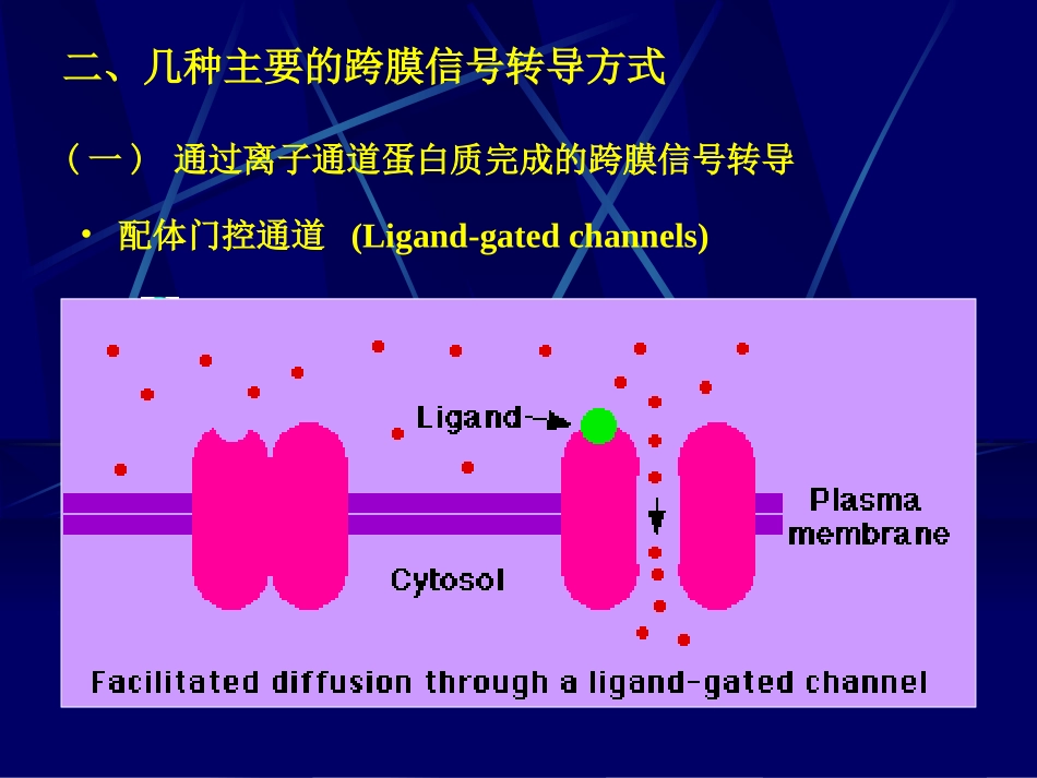 细胞的跨膜信号传递功能_第2页