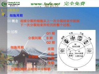 细胞的增殖和分化