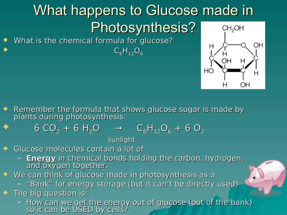 细胞的呼吸(Cellular-Respiration)_第1页