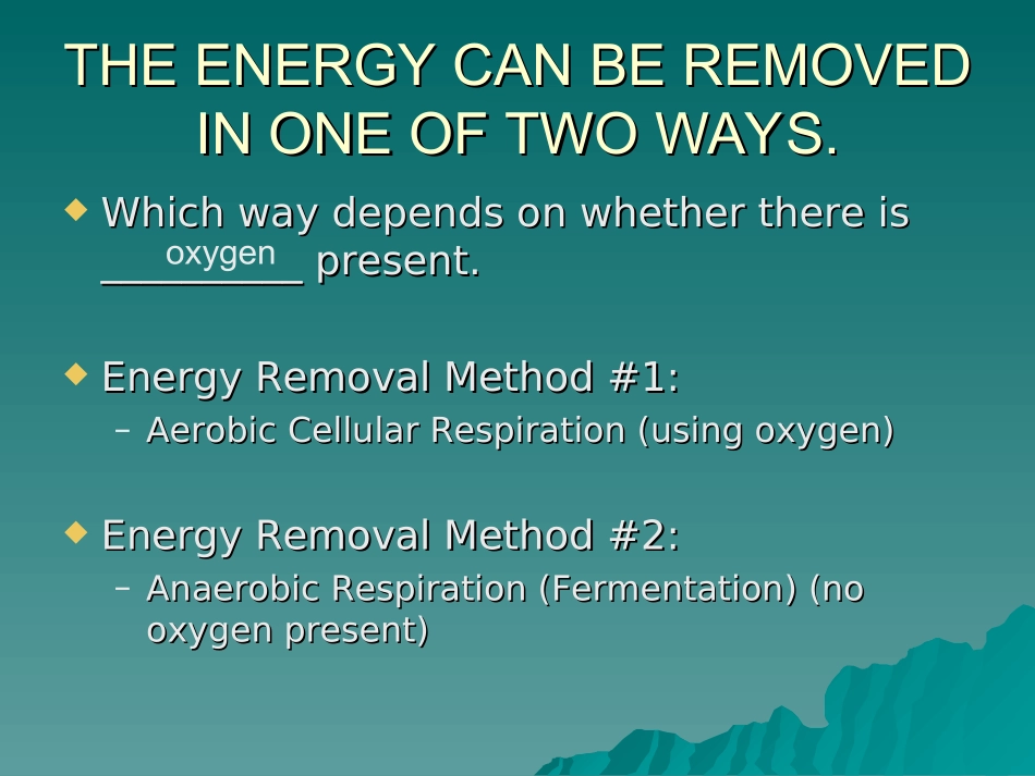 细胞的呼吸(Cellular-Respiration)_第2页
