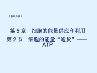 细胞的能量通货--ATP