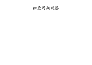 细胞生物学实验-细胞周期观察