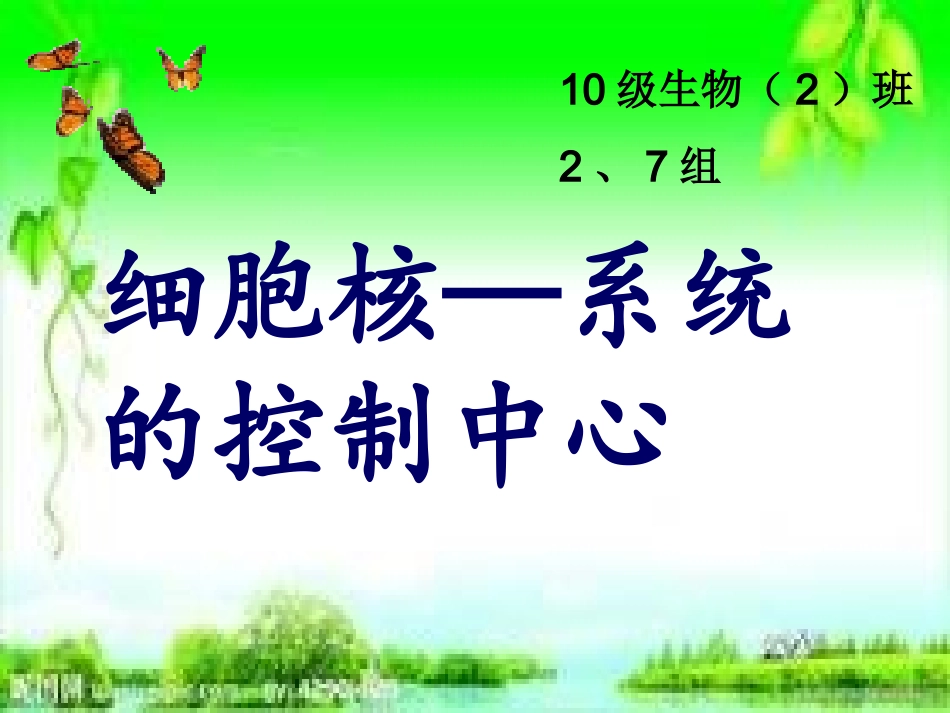 细胞核系统的控制中心说课ppt_第1页