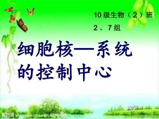 细胞核系统的控制中心说课ppt