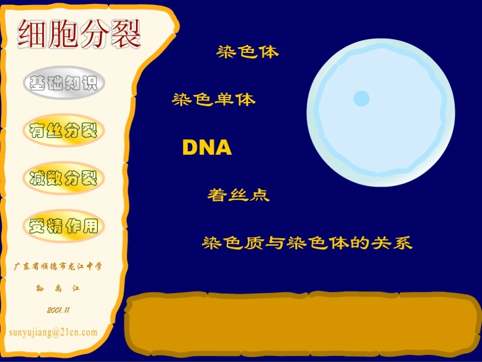 细胞有丝分裂、无丝分裂动画(下载后才可观看)_第2页