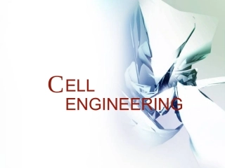 细胞工程7胚胎干细胞培养