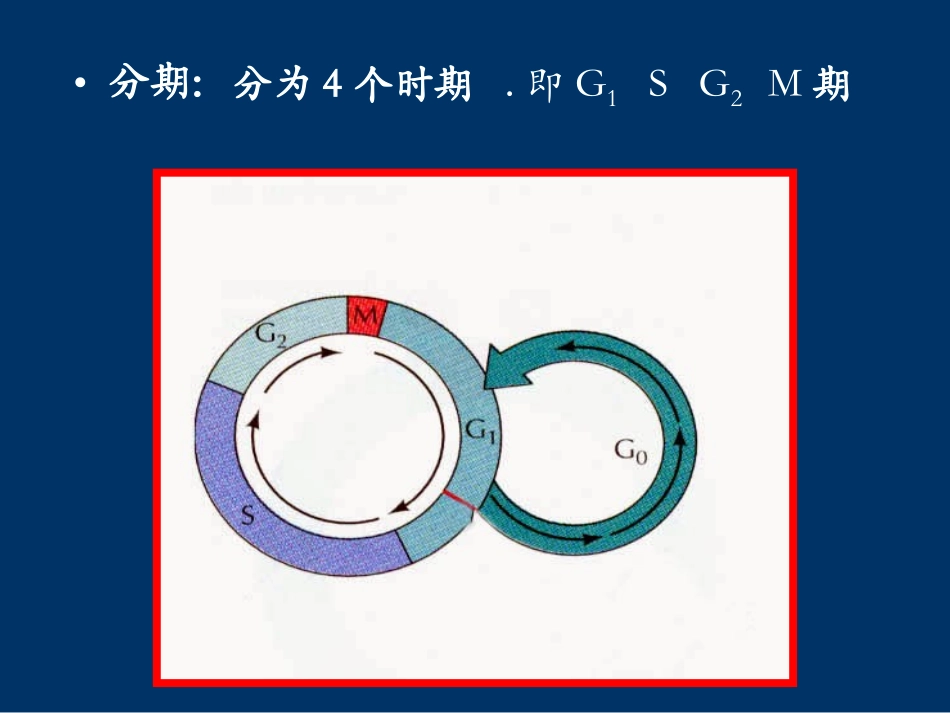 细胞增殖活性及原位检测_第3页