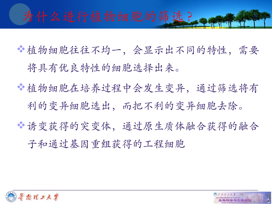 细胞工程-第三章-植物组织培养技术4_第2页