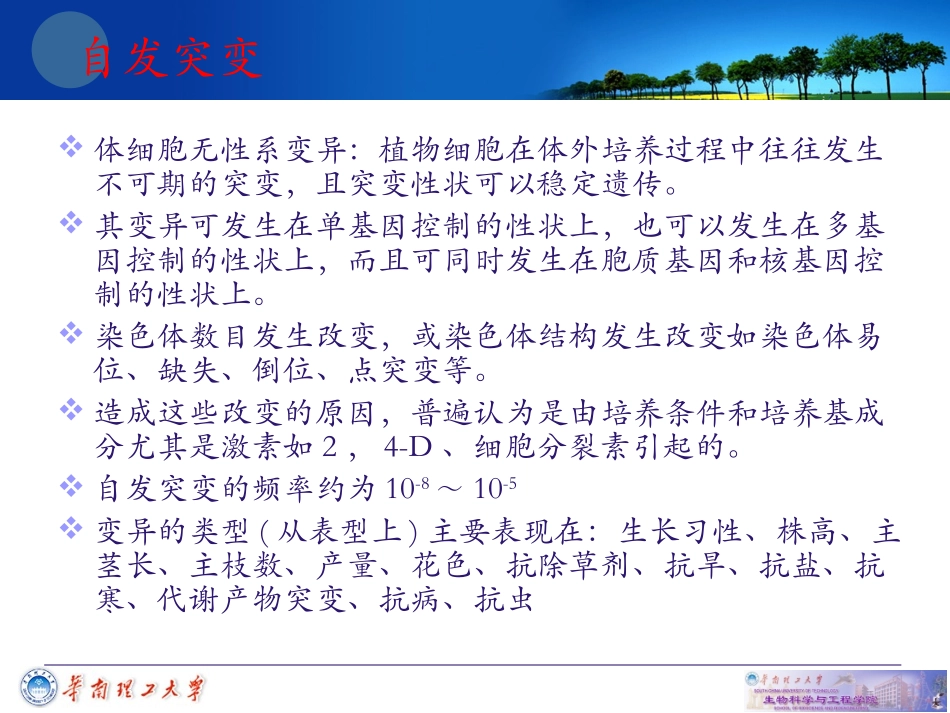 细胞工程-第三章-植物组织培养技术4_第3页