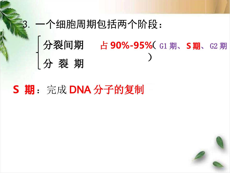细胞增殖6.1-2_第3页
