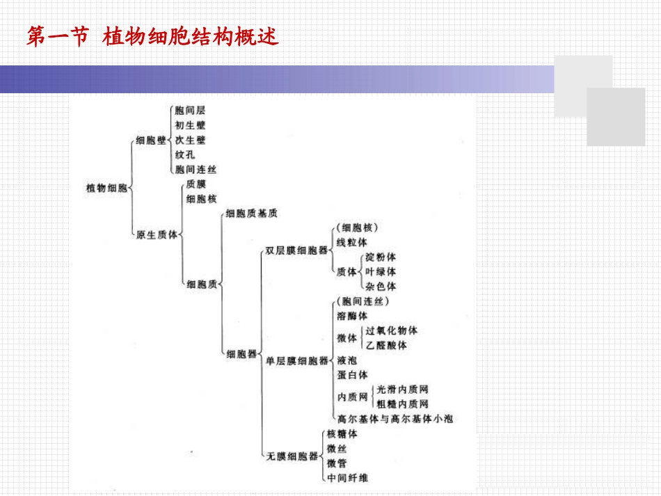 细胞壁的亚显微结构图解_第3页