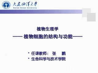 细胞壁的亚显微结构图解