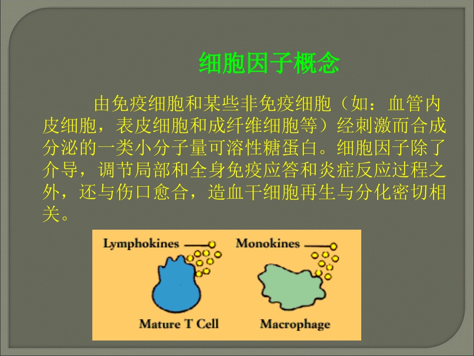 细胞因子的简介_第2页