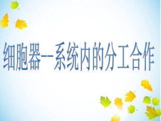细胞器及其之间的分工合作