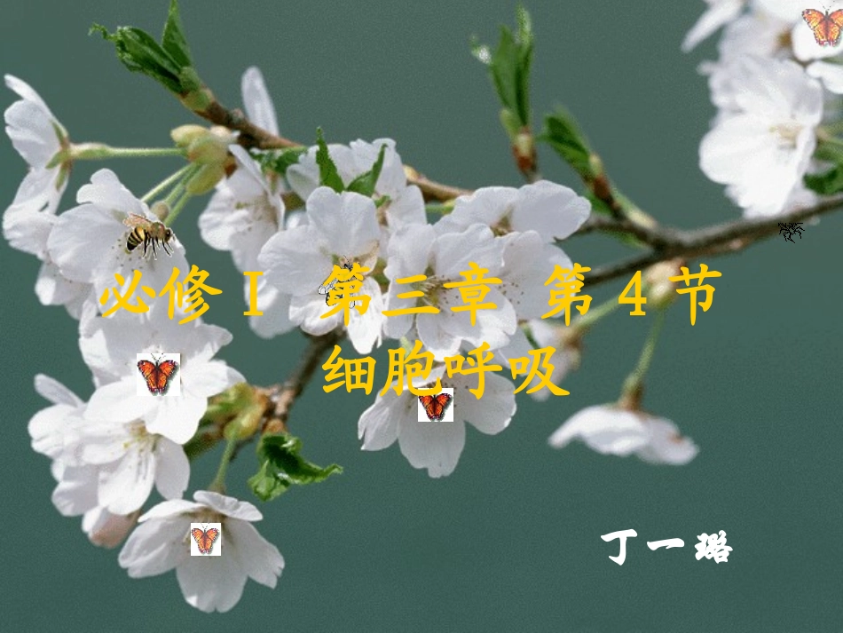 细胞呼吸丁智慧课堂_第2页