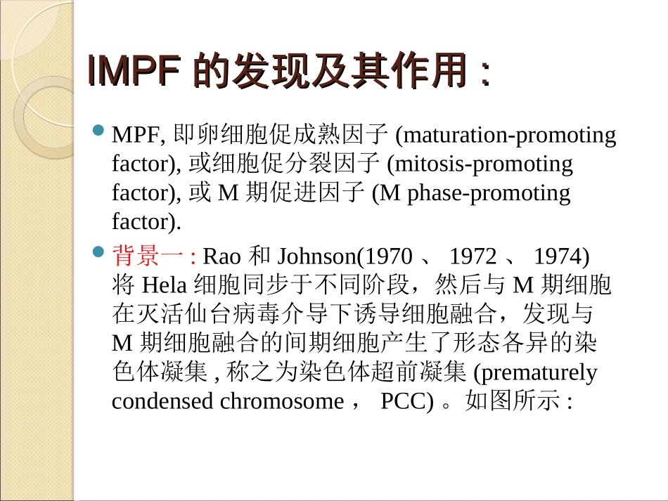 细胞周期调控(精)_第2页