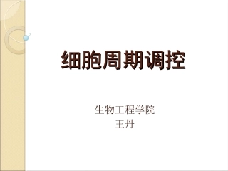细胞周期调控(精)