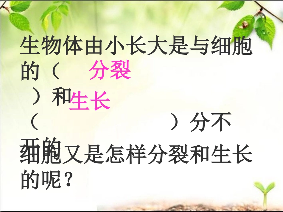 细胞分裂和生长_第3页