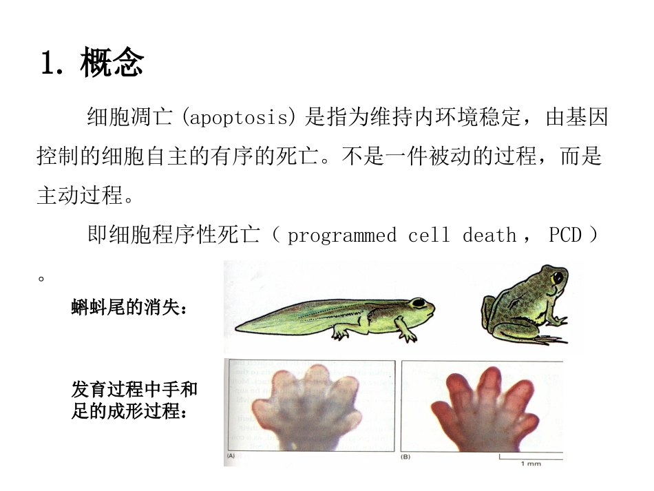 细胞凋亡的信号通路_第2页