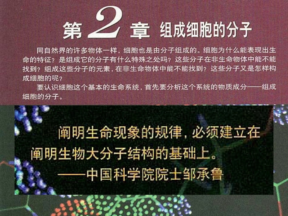 细胞元素化合物_第2页