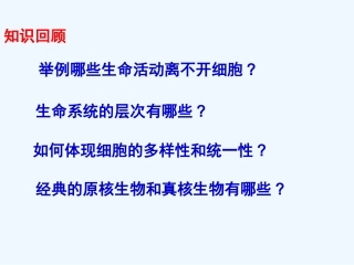 细胞元素化合物