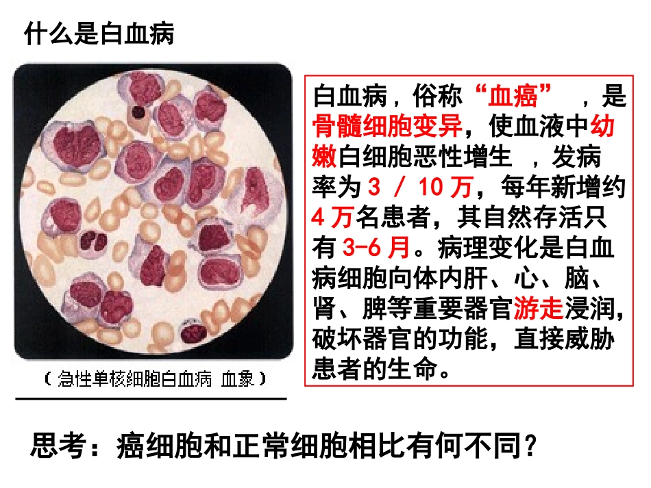 细胞分化要和_第3页
