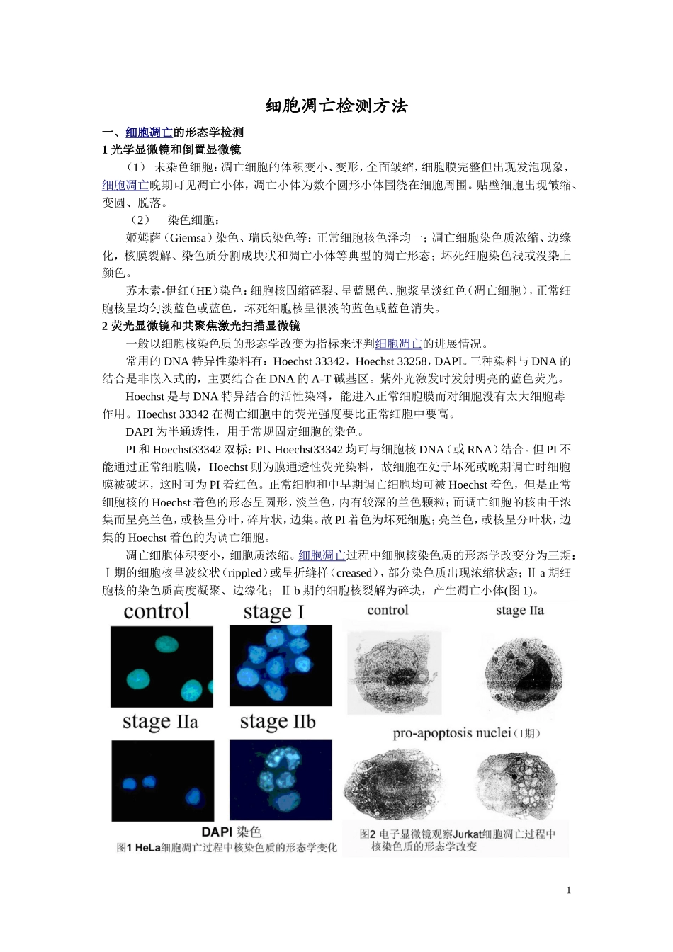 细胞凋亡检测方法_第1页