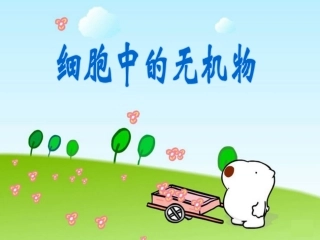 细胞中的无机物水PPT