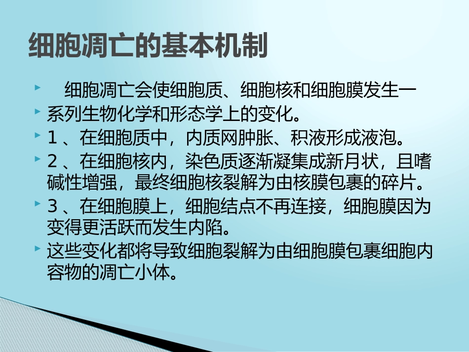 细胞凋亡PPT_第2页