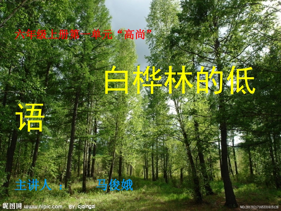 白桦林的低语稿_第1页