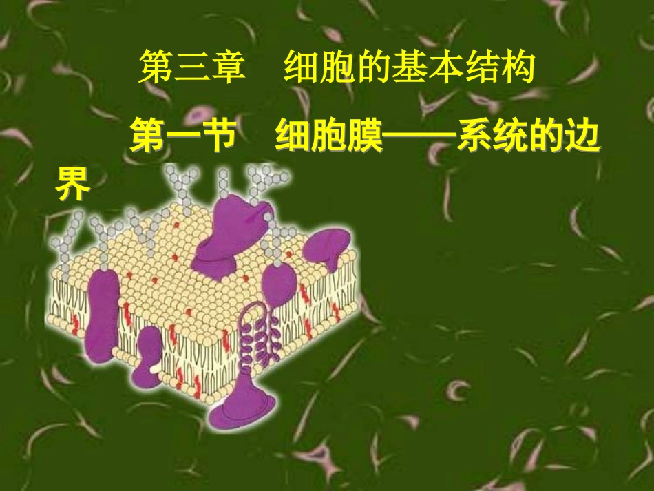 系统边界--细胞膜3.1_第1页