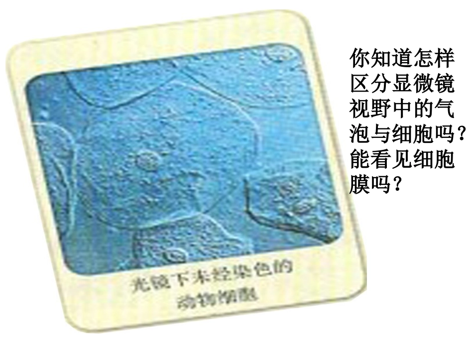 系统边界--细胞膜3.1_第2页