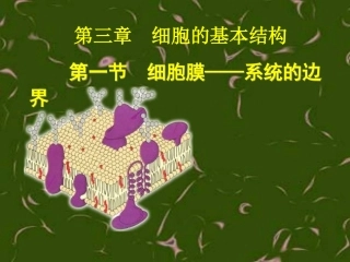 系统边界--细胞膜3.1