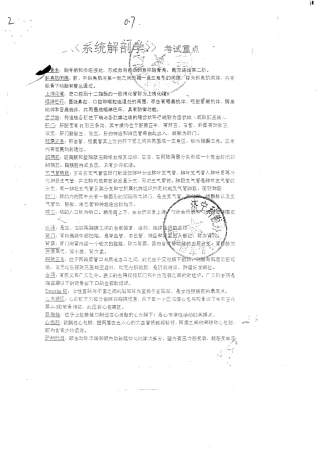 系统解剖学重点