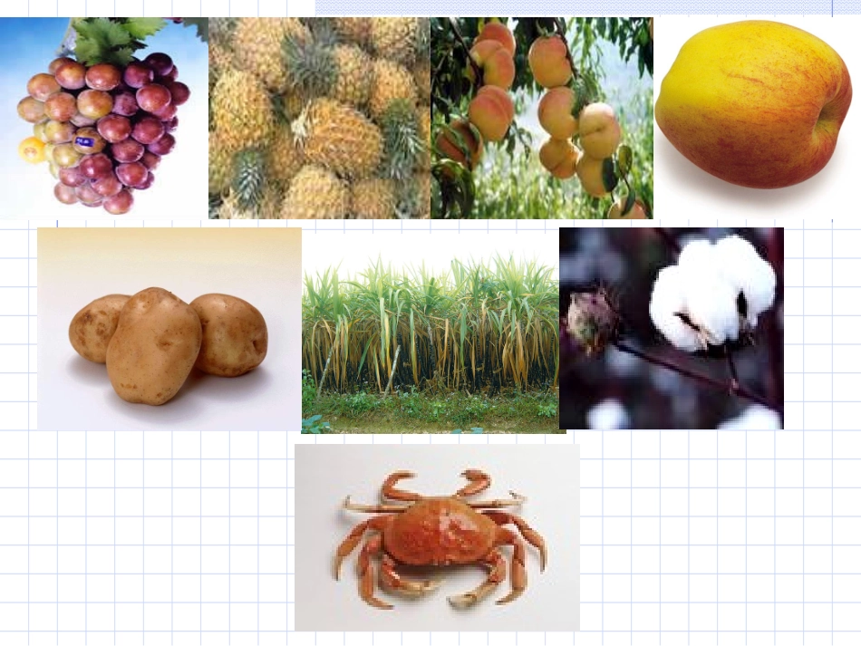 糖类物质分类_第1页