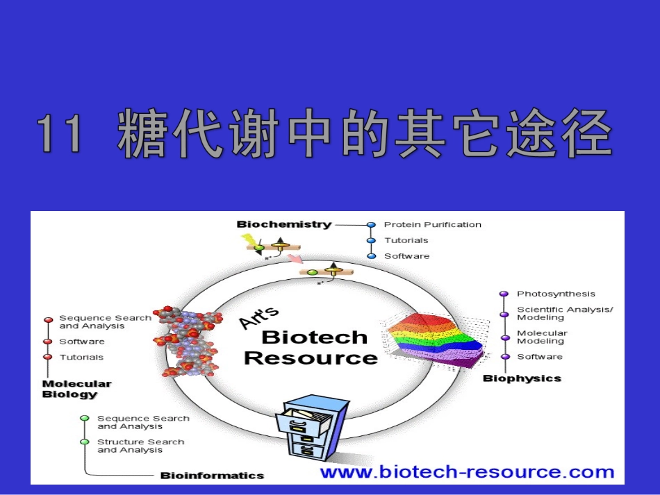 糖代谢中的其它途径_第1页